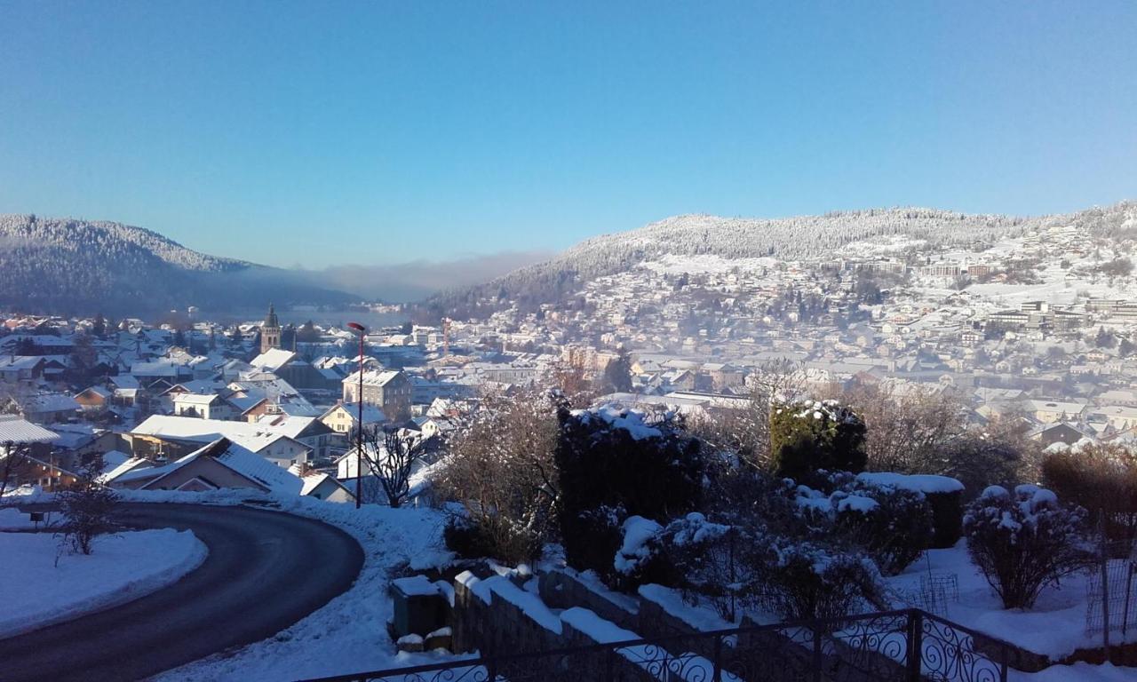 Studio avec vue sur le lac jardin amenage et wifi a Gerardmer a 1 km des pistes Extérieur photo