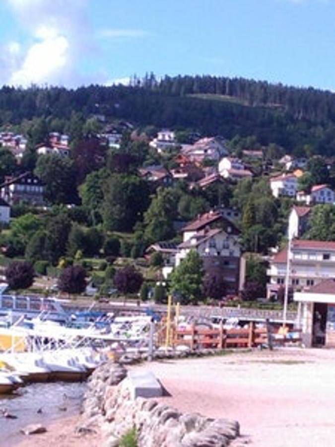 Studio avec vue sur le lac jardin amenage et wifi a Gerardmer a 1 km des pistes Extérieur photo