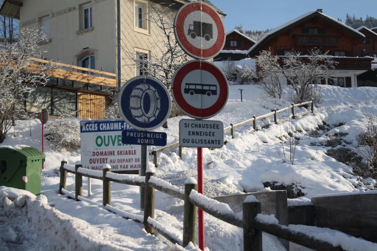 Studio avec vue sur le lac jardin amenage et wifi a Gerardmer a 1 km des pistes Extérieur photo